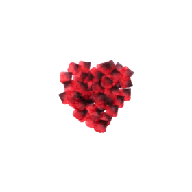 Pack de 100 Pétales de Rose